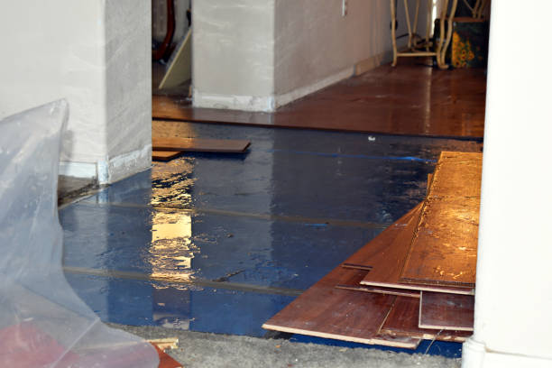 Professional Basement Water Removal technician working in Sullivan, ME